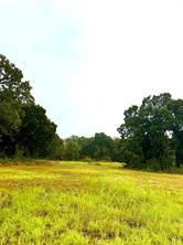 TBD Tract D FM 513  TX - Photo 4