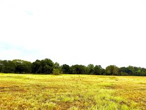 TBD Tract D FM 513  TX - Photo 5