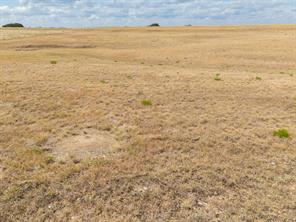 TBD Tract 2 County Road 3565 - Photo 4