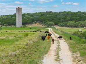 5567 Farm to Market 2633 - Photo 36