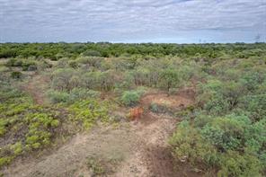 14426 County Road 211 - Photo 25