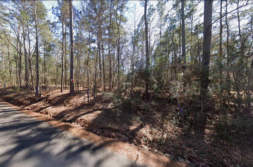225 Paul Dixon Road - Photo 2