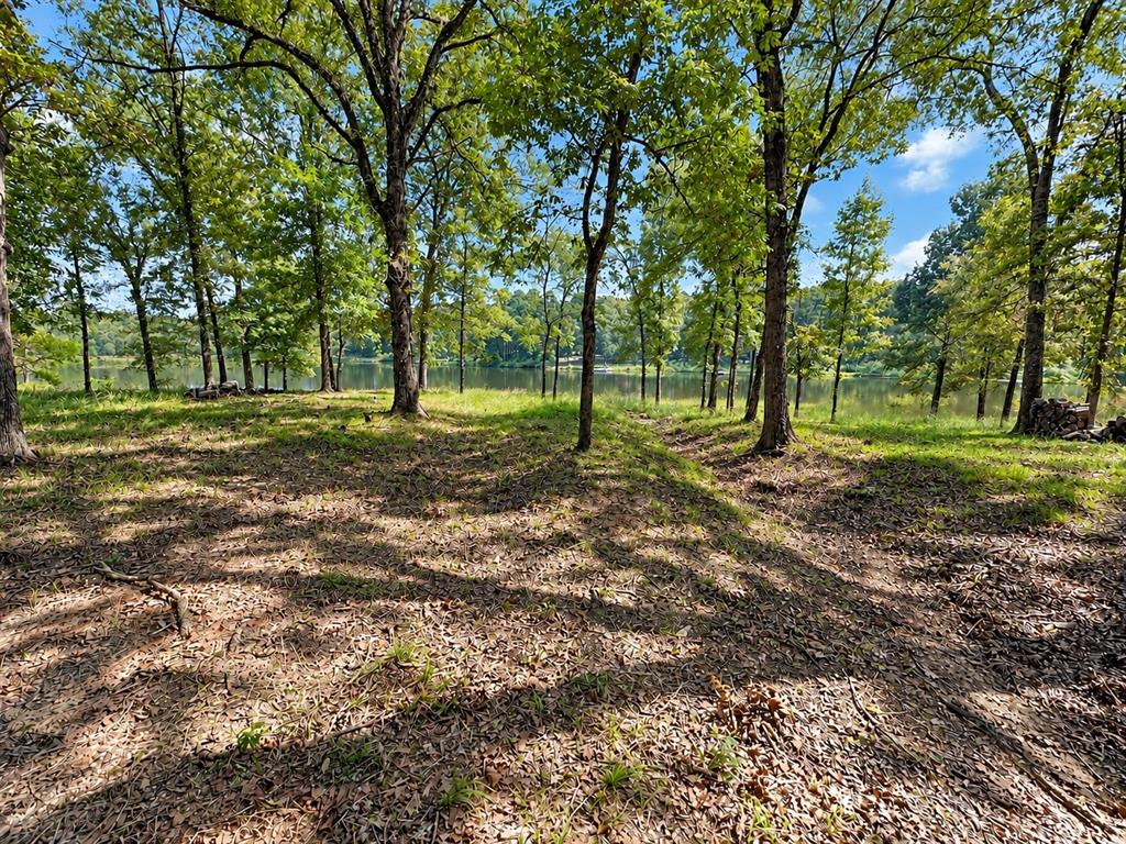 Lot 55 Private Road 52415 - Photo 2