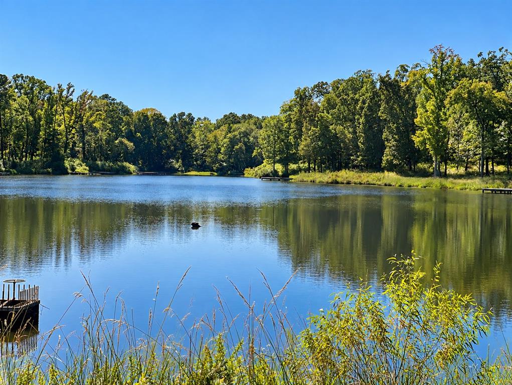 Lot 55 Private Road 52415 - Photo 5