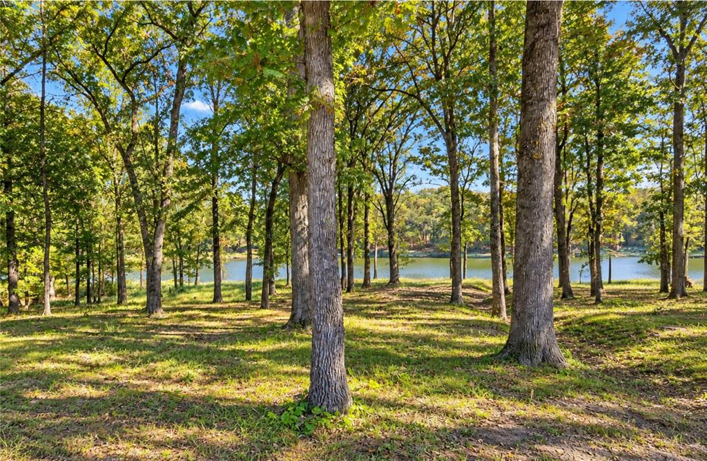Lot 55 Private Road 52415 - Photo 6