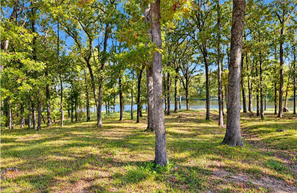 Lot 55 Private Road 52415 - Photo 7