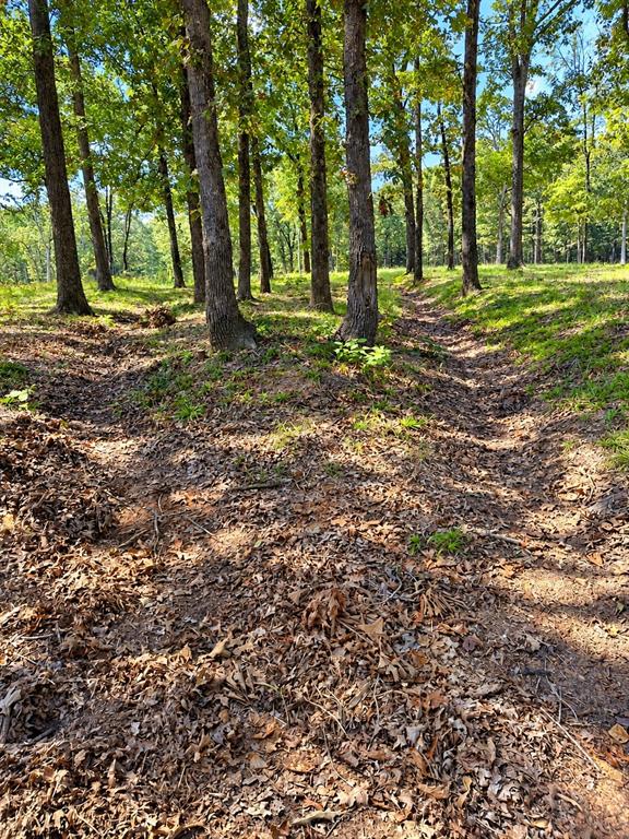 Lot 55 Private Road 52415 - Photo 9