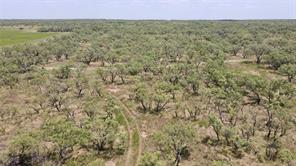 0000 County Road 338 - Photo 30