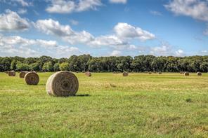 3812 County Road 120 - Photo 12