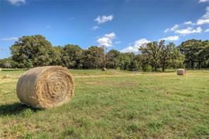3812 County Road 120 - Photo 13