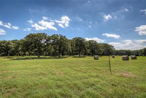 3812 County Road 120 - Photo 5