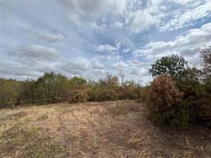 1202 Dalworth Street - Photo 2
