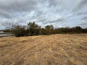 1202 Dalworth Street - Photo 6