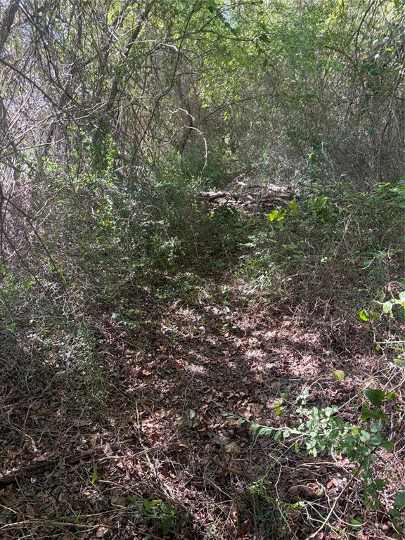 994 Brazos - Photo 1