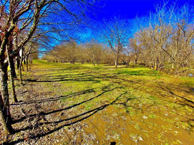 9507 County Road 513