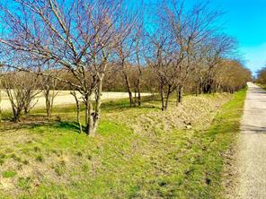 9507 County Road 513 - Photo 3