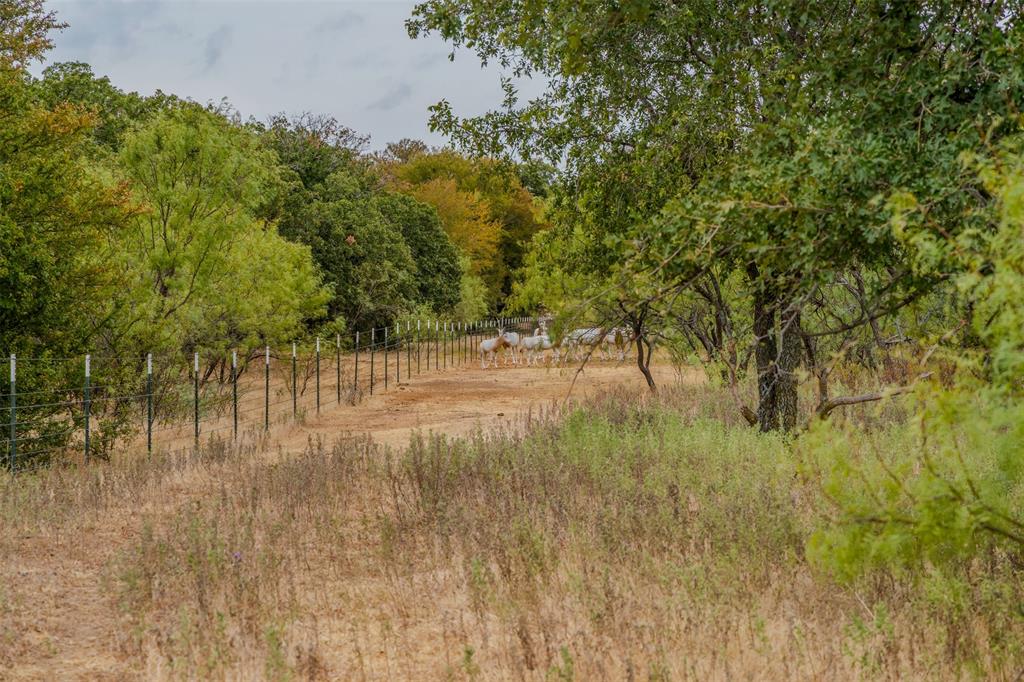 2531 Fm 2075 - Photo 6