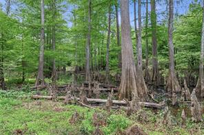 TBD N Us-79 Highway N - Photo 11