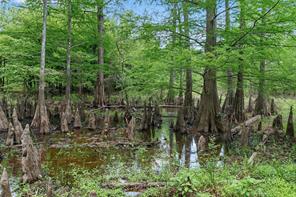 TBD N Us-79 Highway N - Photo 13