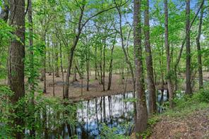 TBD N Us-79 Highway N - Photo 16