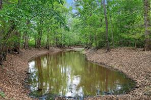 TBD N Us-79 Highway N - Photo 17