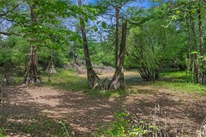 TBD N Us-79 Highway N - Photo 20