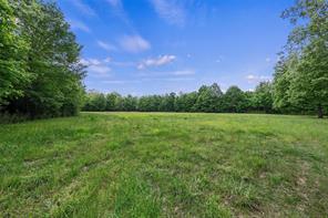 TBD N Us-79 Highway N - Photo 26