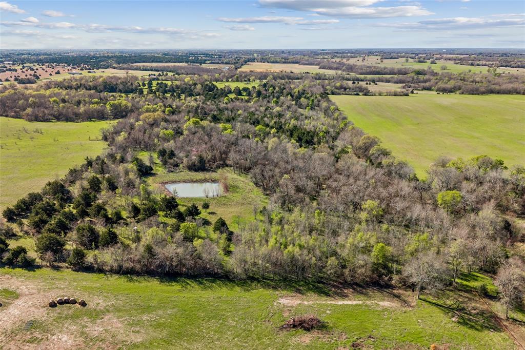 Off County Road 4115 - Photo 1