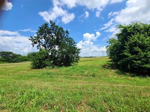 0 Plainview Road - Photo 3