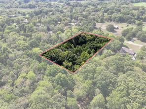 66 Shady Woods Lane - Photo 13