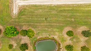 311 Private Road 33263 - Photo 15