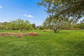 561 E Dove Road - Photo 10