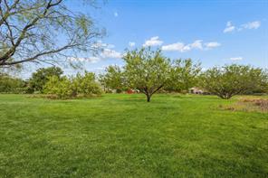 561 E Dove Road - Photo 9