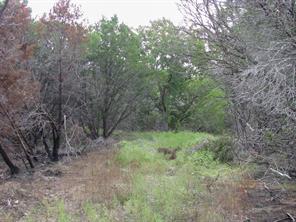Lot 102 Ph 6 Private Road 42101 - Photo 11