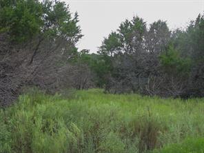 Lot 102 Ph 6 Private Road 42101 - Photo 13