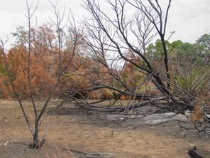 Lot 102 Ph 6 Private Road 42101 - Photo 15