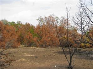 Lot 102 Ph 6 Private Road 42101 - Photo 16