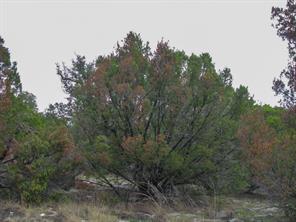 Lot 102 Ph 6 Private Road 42101 - Photo 18