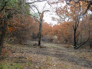 Lot 102 Ph 6 Private Road 42101 - Photo 5