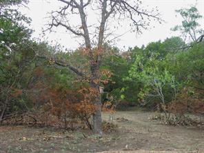 Lot 102 Ph 6 Private Road 42101 - Photo 6