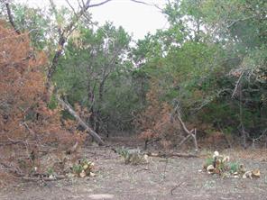 Lot 102 Ph 6 Private Road 42101 - Photo 7