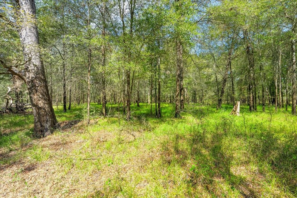 0 Private Road 1235 - Photo 19