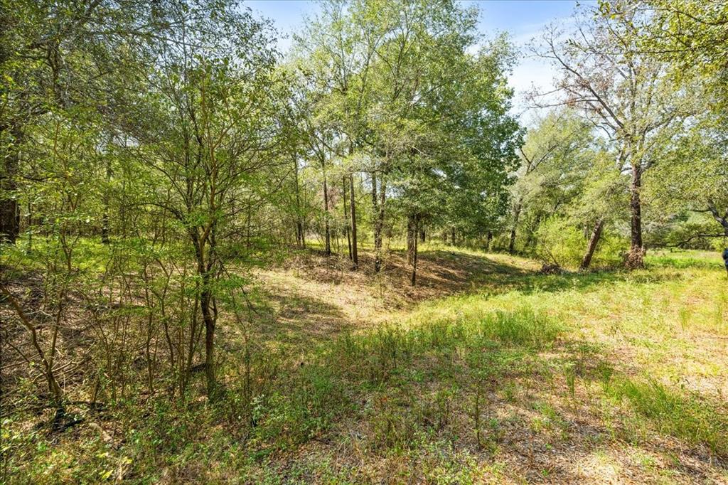 0 Private Road 1235 - Photo 20