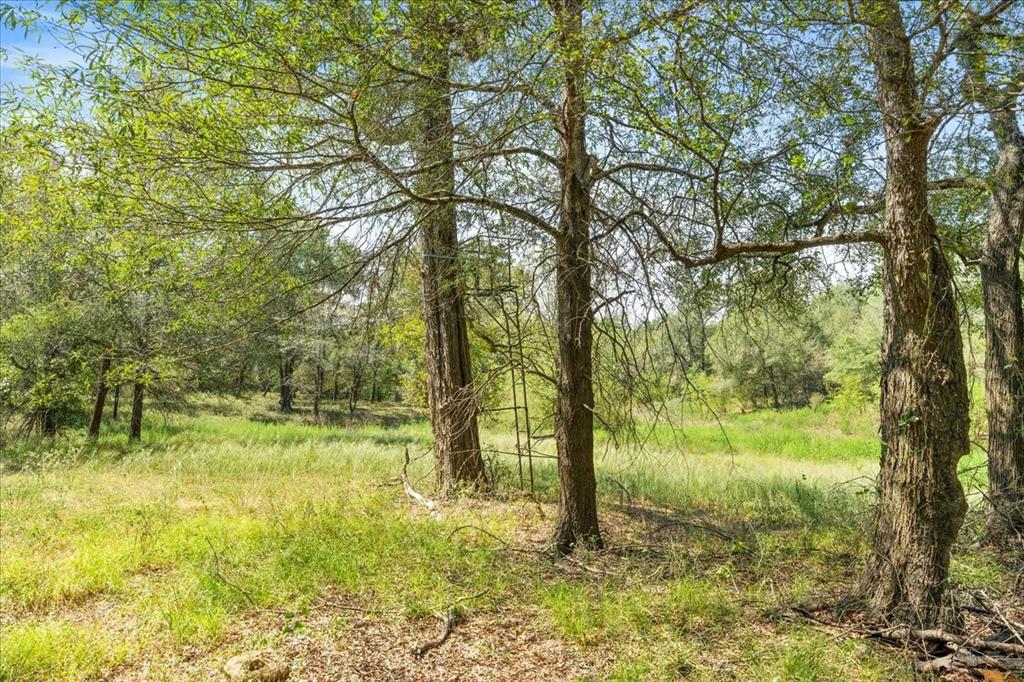 0 Private Road 1235 - Photo 24