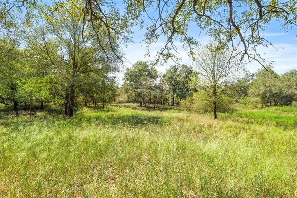 0 Private Road 1235 - Photo 25