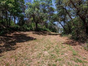 6912 Ireland Drive - Photo 10