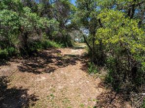 6912 Ireland Drive - Photo 4