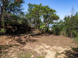 6912 Ireland Drive - Photo 8