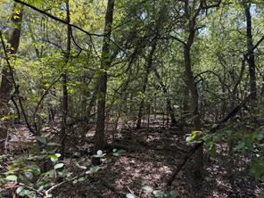 0 R and R Circle - Photo 13