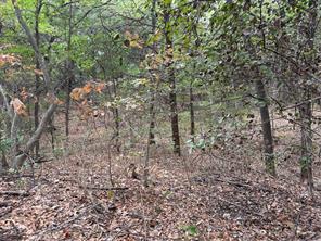 129 Old Ida Road - Photo 39